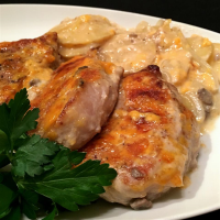 PORK CHOP CASSEROLE WITH FRENCH FRIED ONIONS RECIPES