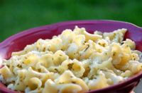 Pasta with Herb Butter Recipe - Food.com image