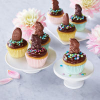 Ghirardelli Chocolate Frosted Cupcakes | Allrecipes image