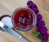 How to Make Low Sugar American Beautyberry Jelly – Four ... image