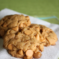 CHOCOLATE CHIP BUTTERSCOTCH CHIP COOKIES RECIPES