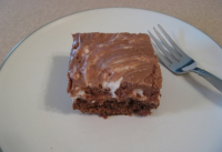MISSISSIPPI CHOCOLATE MUD CAKE RECIPES