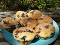 Fresh Blueberry Sour Cream Muffins Recipe - Food.com image