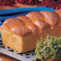 Favorite Buttermilk Bread Recipe: How to Make It image