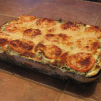 VEGETABLE LASAGNA WITH COTTAGE CHEESE RECIPES