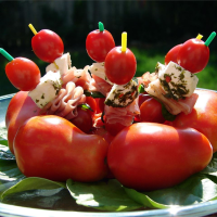 Mozzarella and Tomato Appetizer Recipe | Allrecipes image