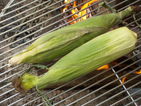 Grill-Steamed Corn on the Cob - Just A Pinch Recipes image