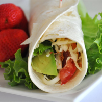 WHAT TO PUT ON A TURKEY WRAP RECIPES