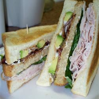 WHAT TO PUT IN A TURKEY SANDWICH RECIPES