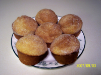 Cinnamon Sugar Muffins Recipe - Food.com image