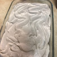 SPICE CAKE MADE WITH APPLESAUCE RECIPES