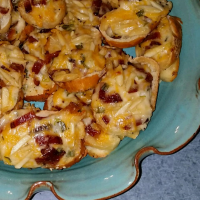 CHEDDAR CHEESE APPETIZER RECIPES RECIPES