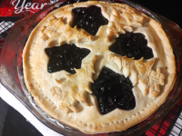 FROZEN BLUEBERRY PIE RECIPE THAT IS NOT RUNNY RECIPES