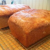 Honey Wheat Bread II Recipe | Allrecipes image