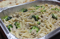 CHICKEN ALFREDO WITH EGG NOODLES BAKE RECIPES