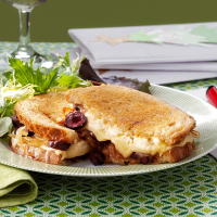 Gourmet Grilled Cheese Sandwich Recipe: How to Make It image