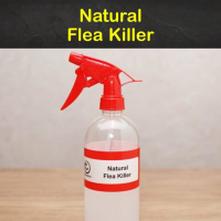 18 Clever DIY Flea Killer Recipes - Tips Bulletin image