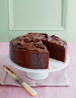 CHOCOLATE MUD CAKE RECIPES