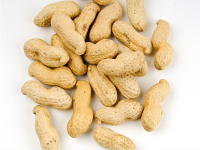 Recipe Info Basic Peanut Preparation - About Peanuts image