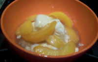 Sauteed Peaches with Vanilla Ice Cream Recipe - Food.com image