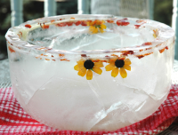 Ice Bowls Recipe - Food.com image