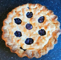 The Best Blueberry Pie Recipe - Food.com - Recipes, Food ... image