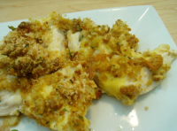 Chicken Tenders & Swiss Cheese ... - Just A Pinch Recipes image