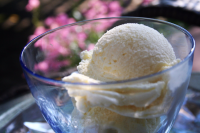 The Best Low Sodium Vanilla Ice Cream - Hacking Salt image