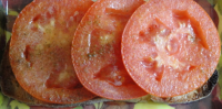 Toasted Bread With Tomato & Olive Oil Recipe - Food.com image