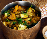 Curried Lentil, Squash and Apple Stew Recipe - NYT Cooking image
