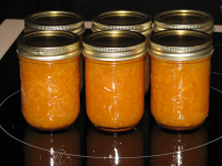 Pear Honey Recipe - Food.com image
