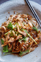 Shredded Chicken in Garlic Sauce - China Sichuan Food image