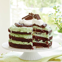 Mint Chocolate Chip Ice-Cream Cake Recipe | MyRecipes image
