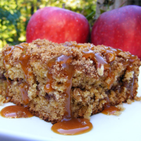 APPLE BUTTER CRUMB CAKE RECIPES