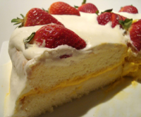 CANTONESE SPONGE CAKE RECIPES