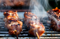 Yakitori Chicken With Ginger, Garlic and Soy Sauce Recipe ... image