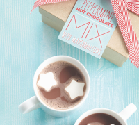 Peppermint Hot Chocolate Mix - Hy-Vee Recipes and Ideas image
