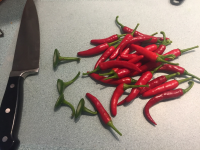 ASIAN RED CHILI PEPPER RECIPES