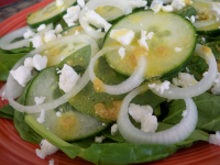Spinach, Cucumber, Feta and Red Onion Salad Recipe - Food.com image