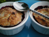 Blueberry Cobblers for Two - 4 Ww Points Recipe - Dessert ... image