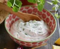 Tzatziki Sauce Recipe with Sour Cream - Daisy Brand image