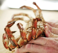 Cooking fresh crab recipe | BBC Good Food image