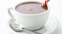 Skinny Decadent Hot Chocolate Recipe - BettyCrocker.com image
