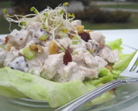 Barefoot Contessa's Chicken Salad Veronique Recipe - Food.com image