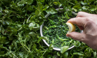 Harvesting and Cooking Wild Watercress image