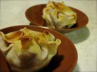 DUMPLINGS WITH SPRING ROLL WRAPPERS RECIPES