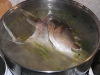 BOILED FISH SOUP RECIPES
