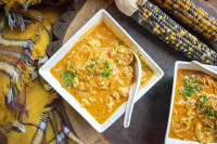 Old Fashioned Chicken Paprikash Soup | The Starving Chef image