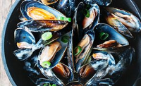 EASY MUSSELS RECIPE RECIPES