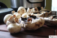 Recipe This | Instant Pot Mushrooms (Steamed In Just 2 ... image
